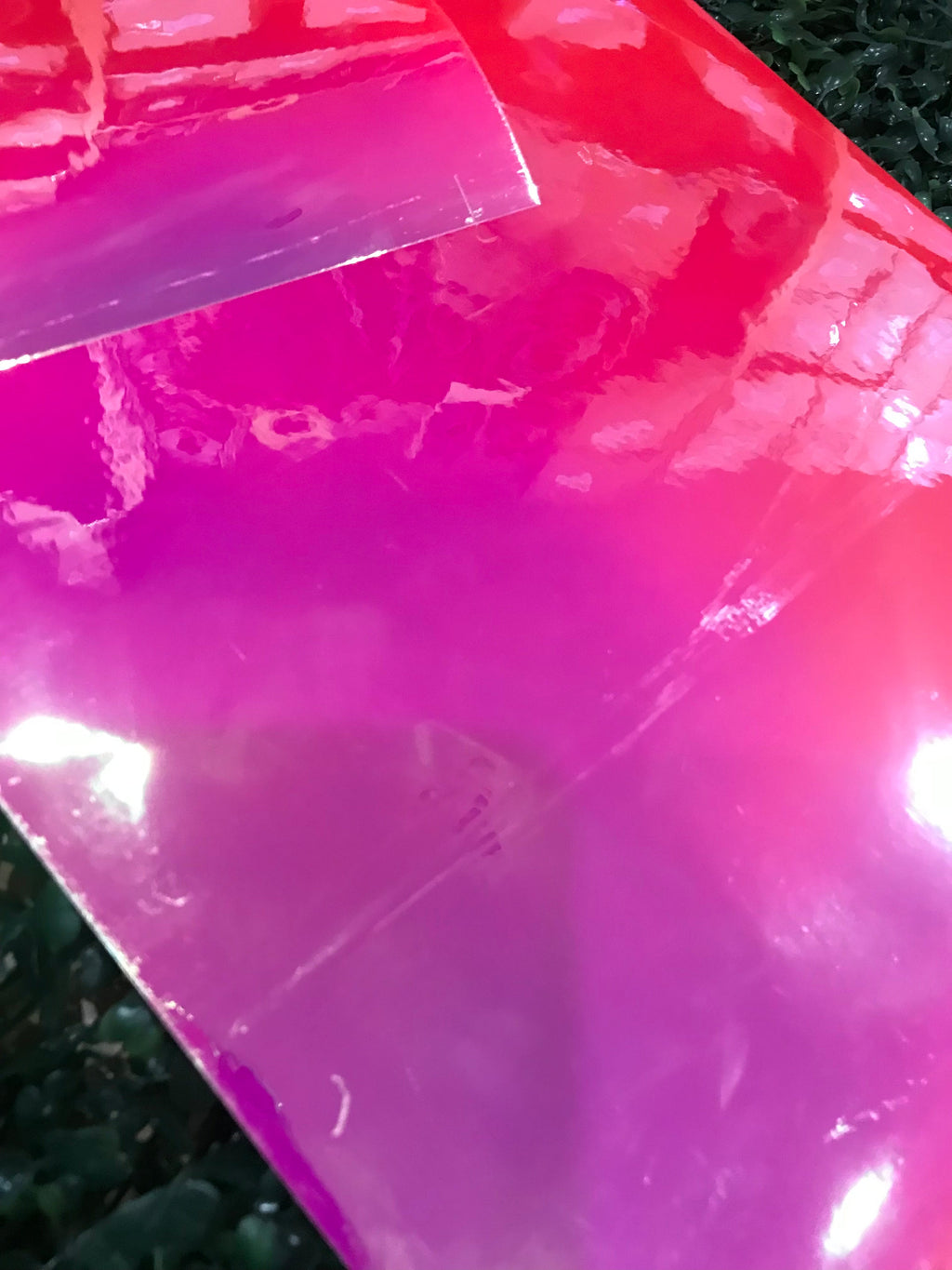 Adhesive Vinyl Chameleon