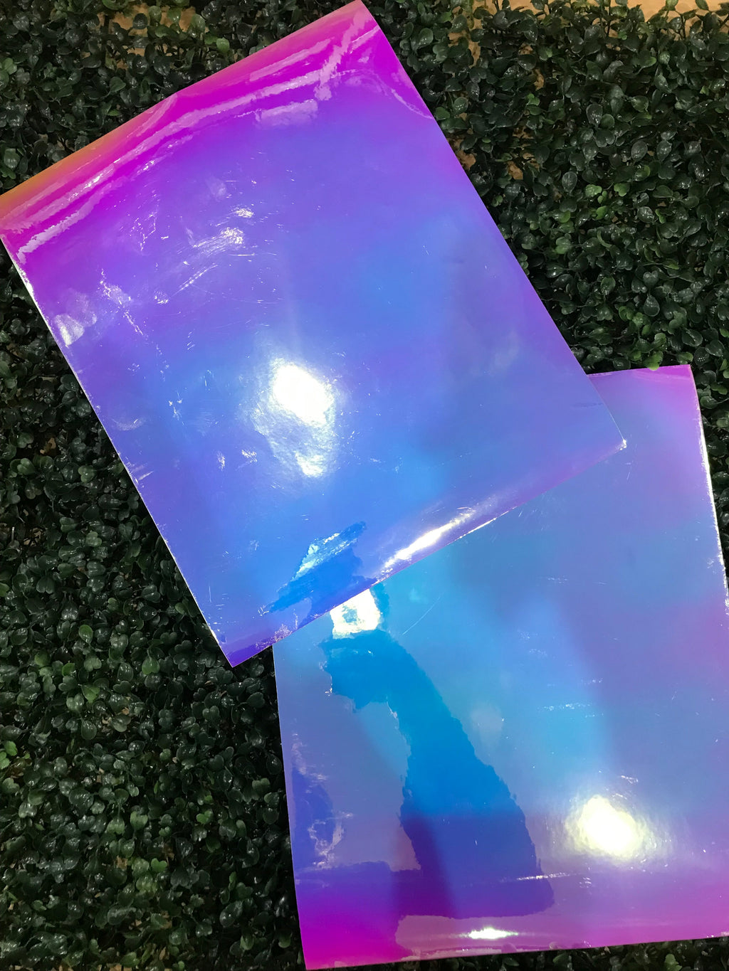 Adhesive Vinyl Chameleon
