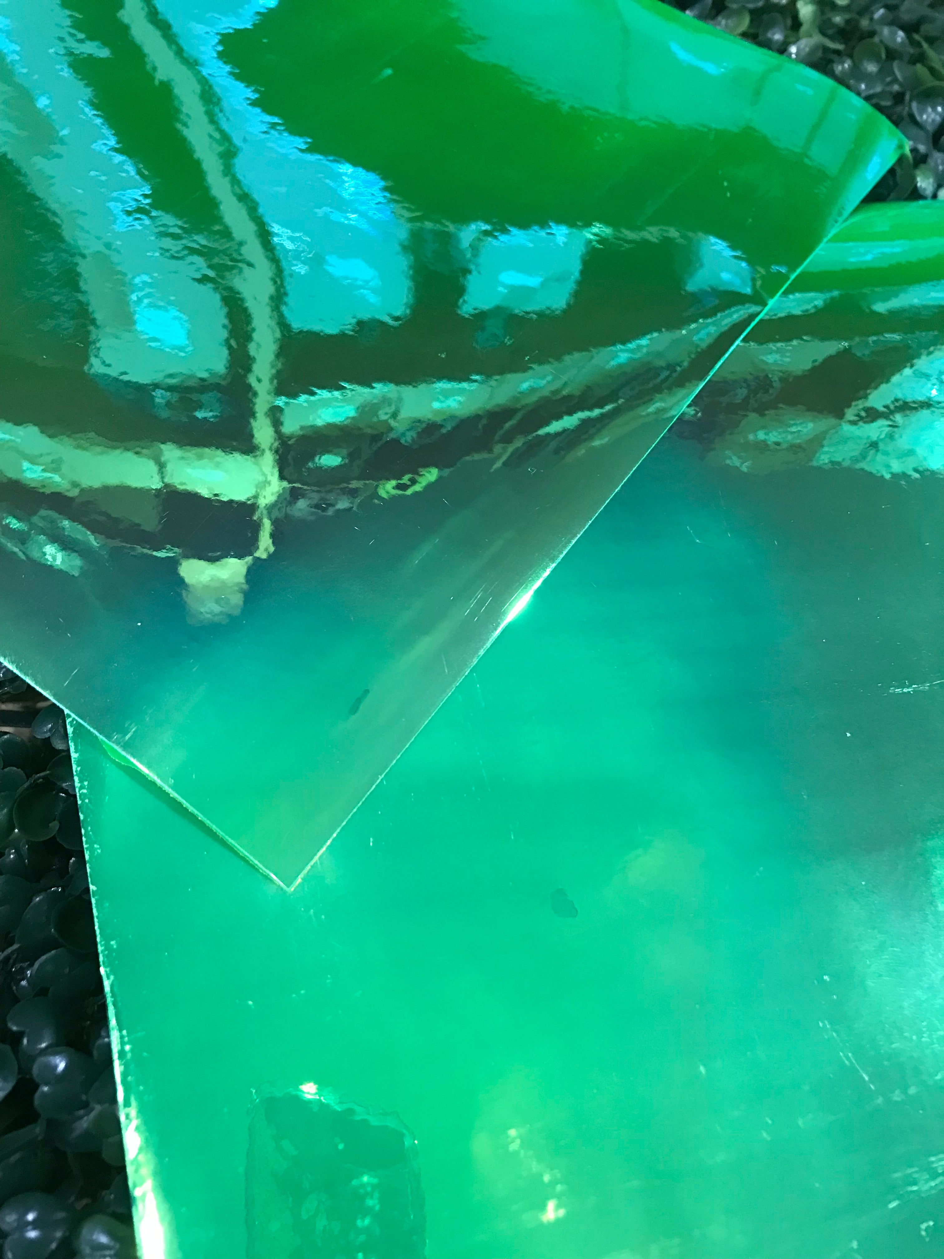 Adhesive Vinyl Chameleon