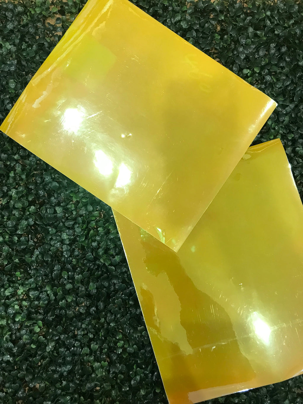 Adhesive Vinyl Chameleon