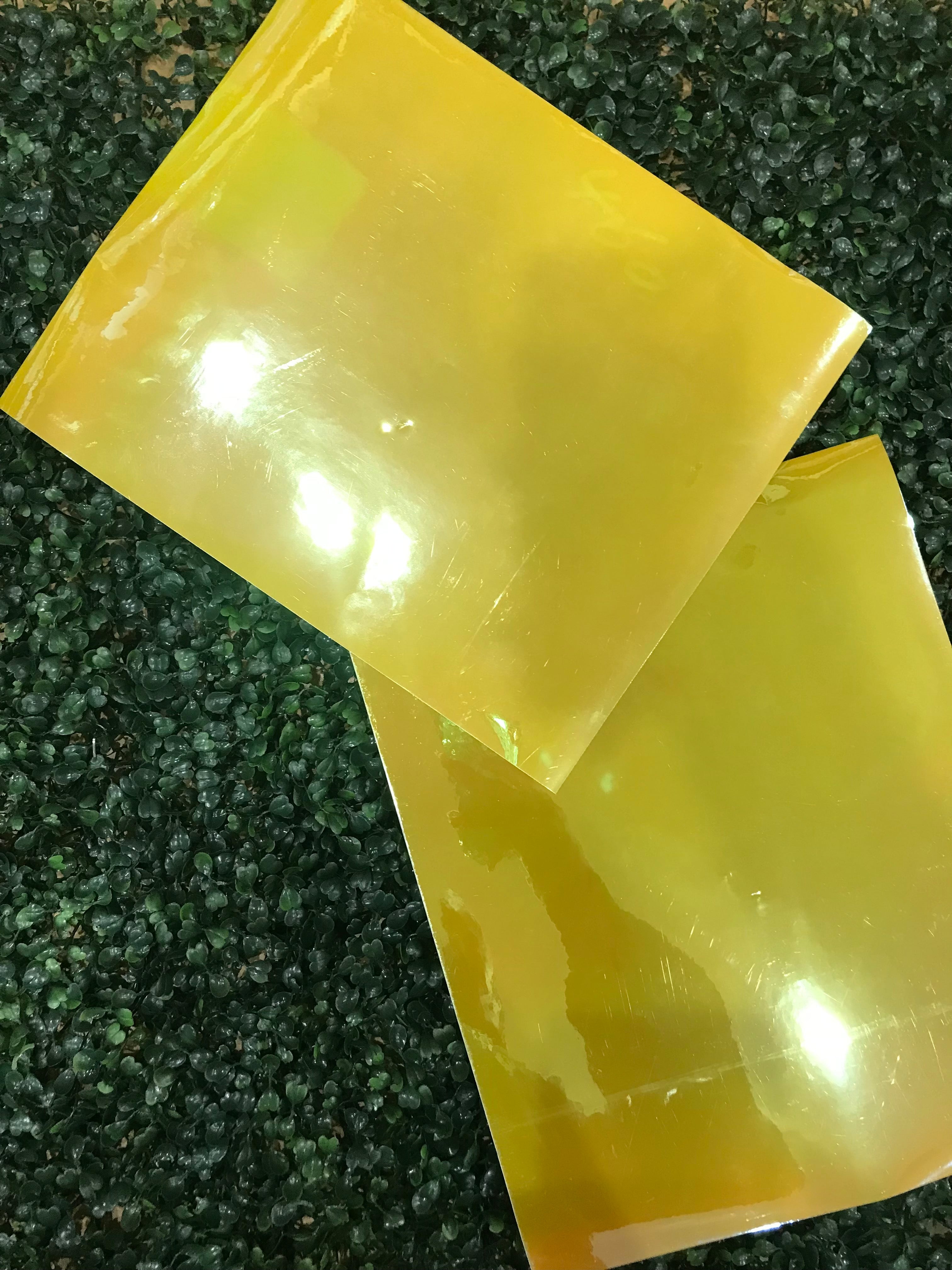 Adhesive Vinyl Chameleon