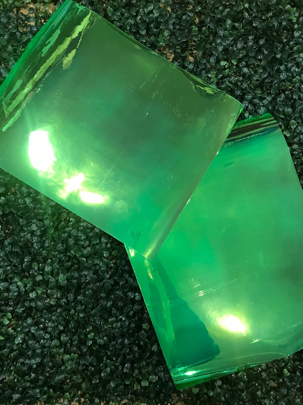 Adhesive Vinyl Chameleon