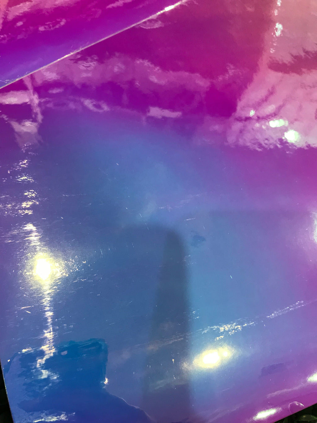 Adhesive Vinyl Chameleon