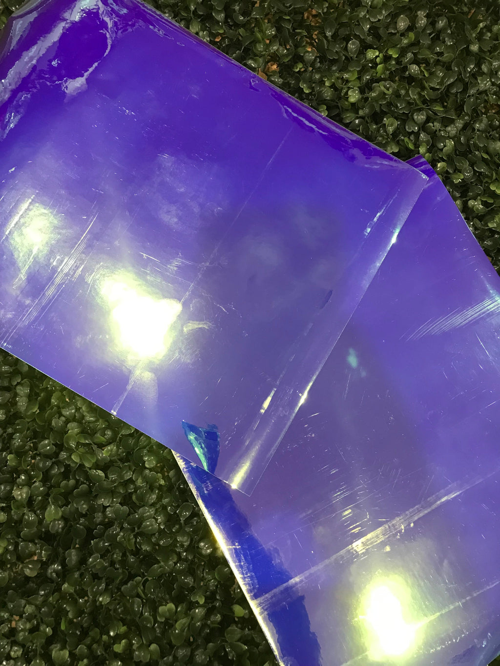 Adhesive Vinyl Chameleon