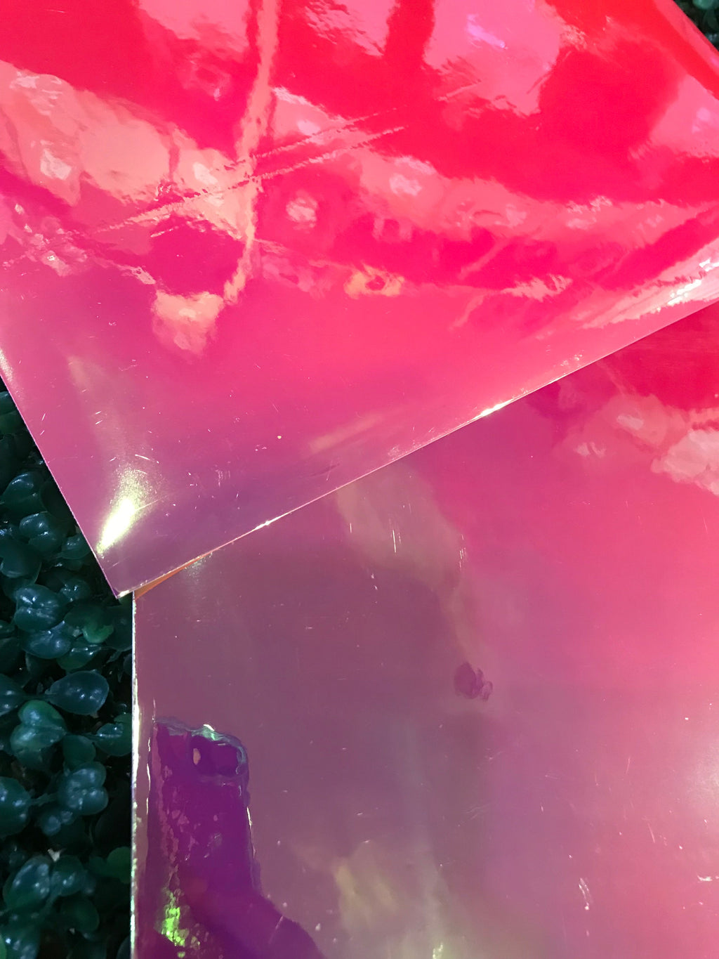 Adhesive Vinyl Chameleon